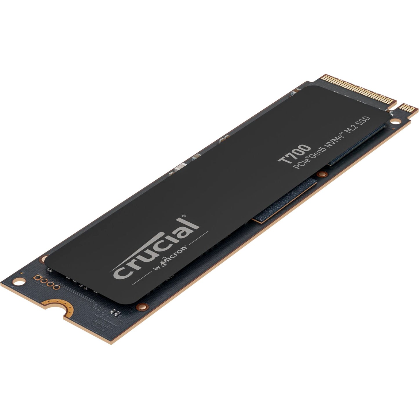 Crucial T700                 4TB PCIe Gen5 NVMe M.2 SSD
