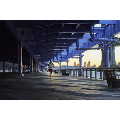 Garmin Forerunner 965 Amp Yellow/Black