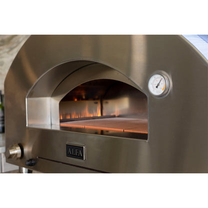 Alfa Forni Futuro 2 Pizze Hybrid silver black
