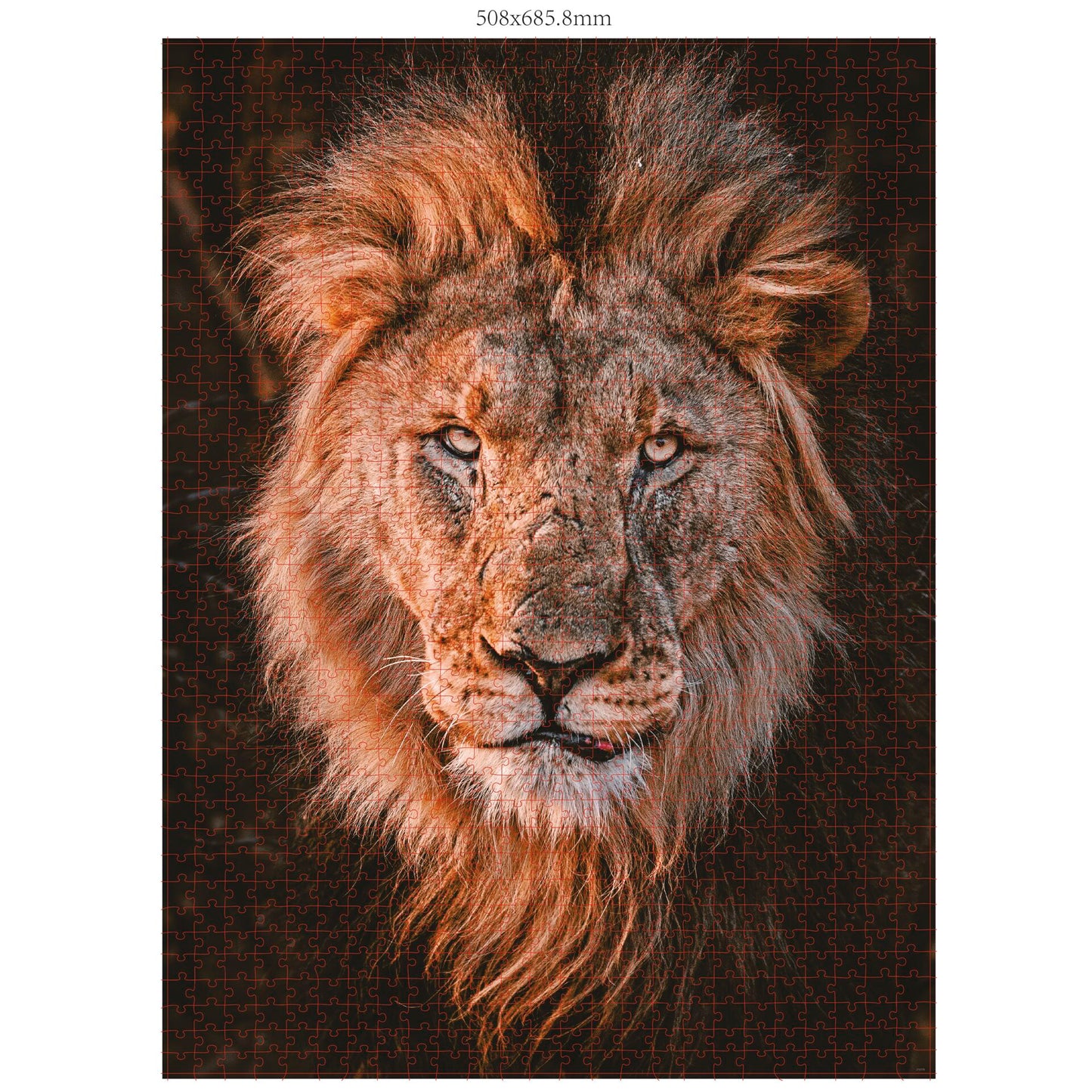 Ambassador Lion Head 1000 Pieces (Donal Boyd)