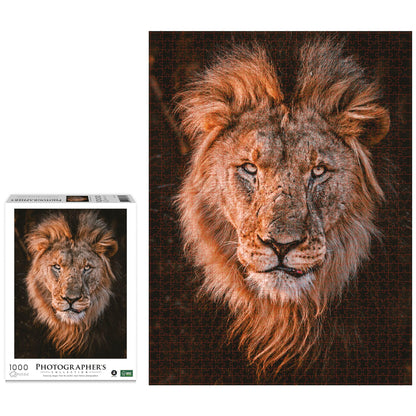 Ambassador Lion Head 1000 Pieces (Donal Boyd)