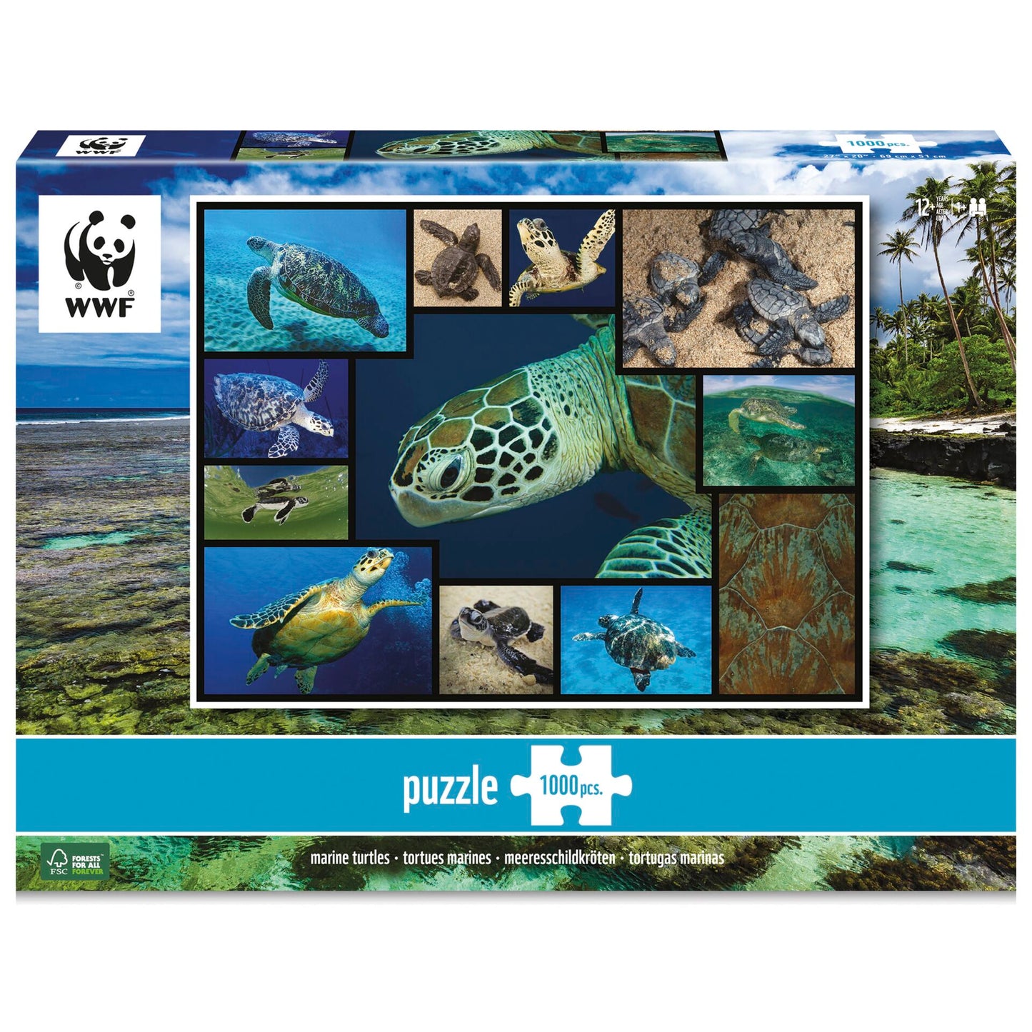 Ambassador Sea Turtles 1000 Pieces