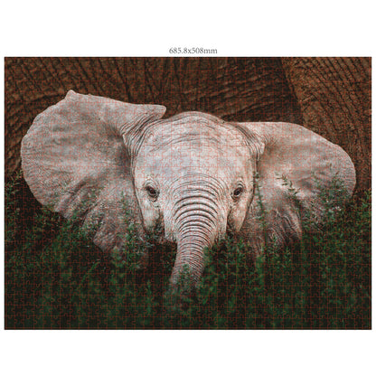 Ambassador Wildlife 3x1000 Pieces (Donal Boyd)