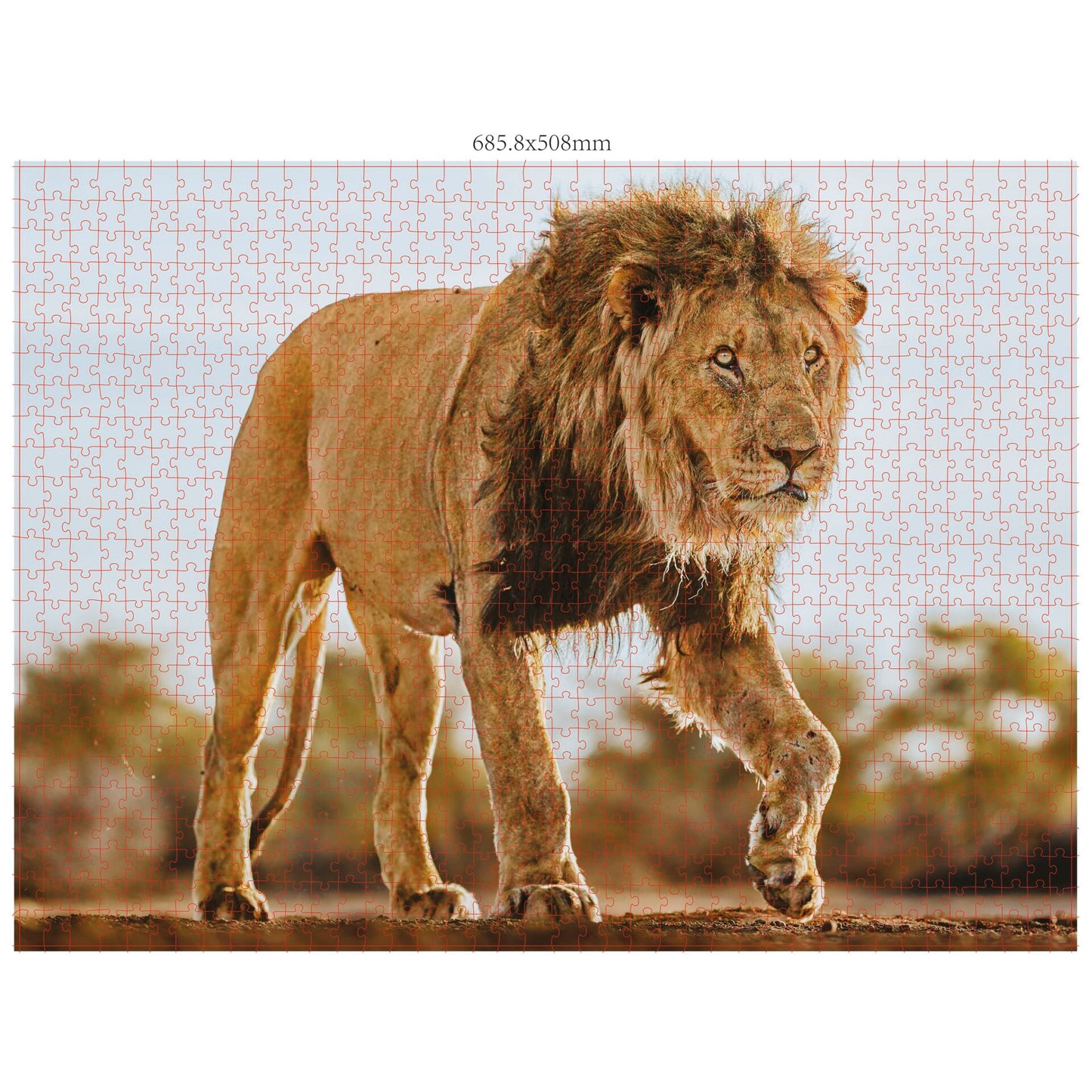 Ambassador Wildlife 3x1000 Pieces (Donal Boyd)