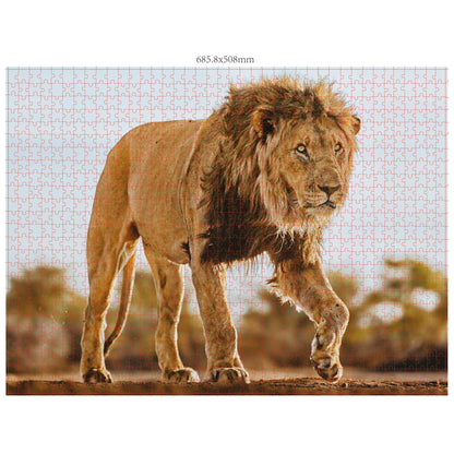 Ambassador Wildlife 3x1000 Pieces (Donal Boyd)