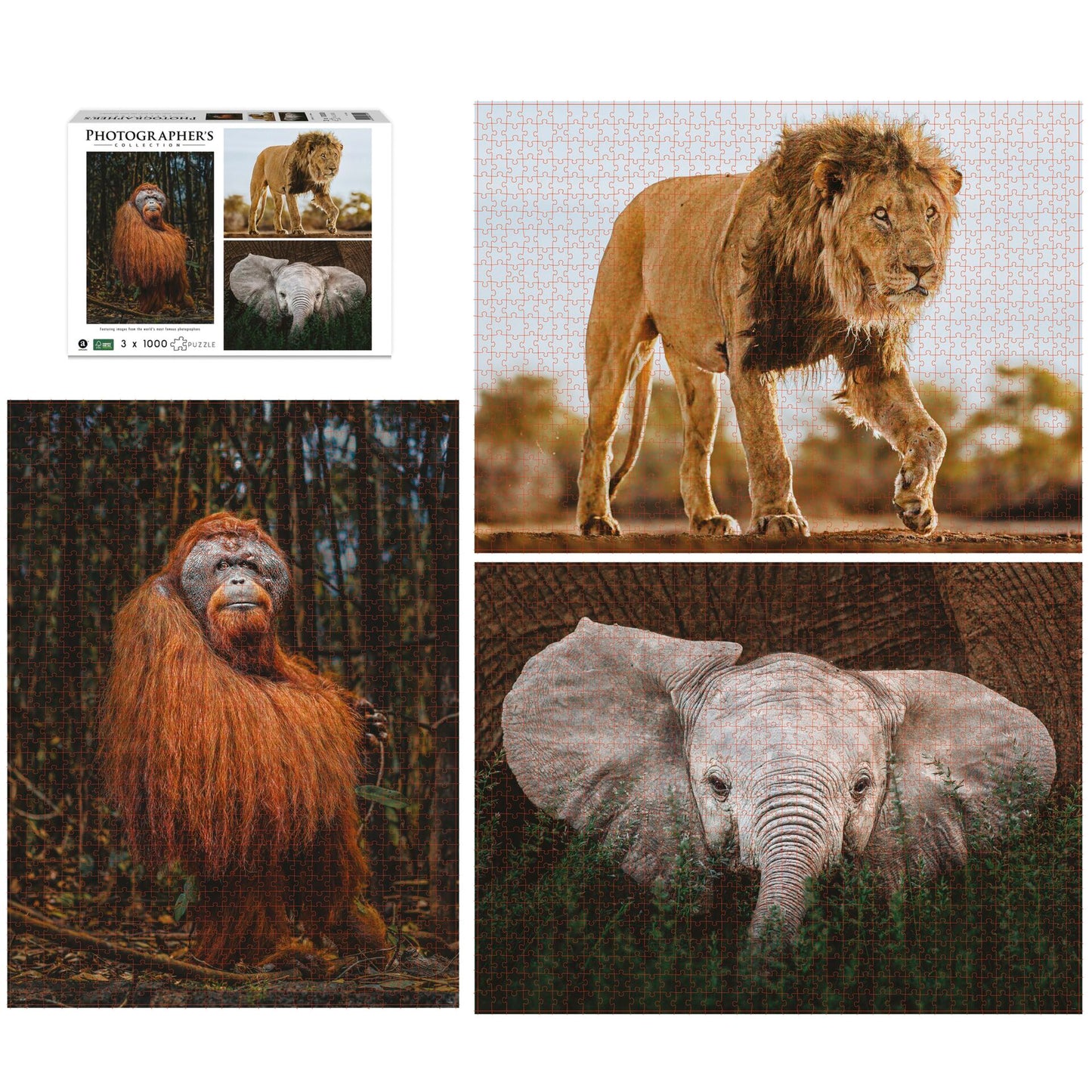 Ambassador Wildlife 3x1000 Pieces (Donal Boyd)