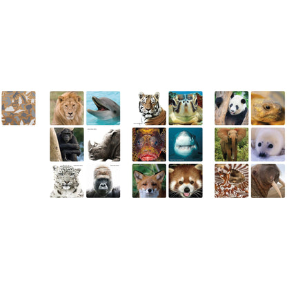 Ambassador Memo Animal Selfies