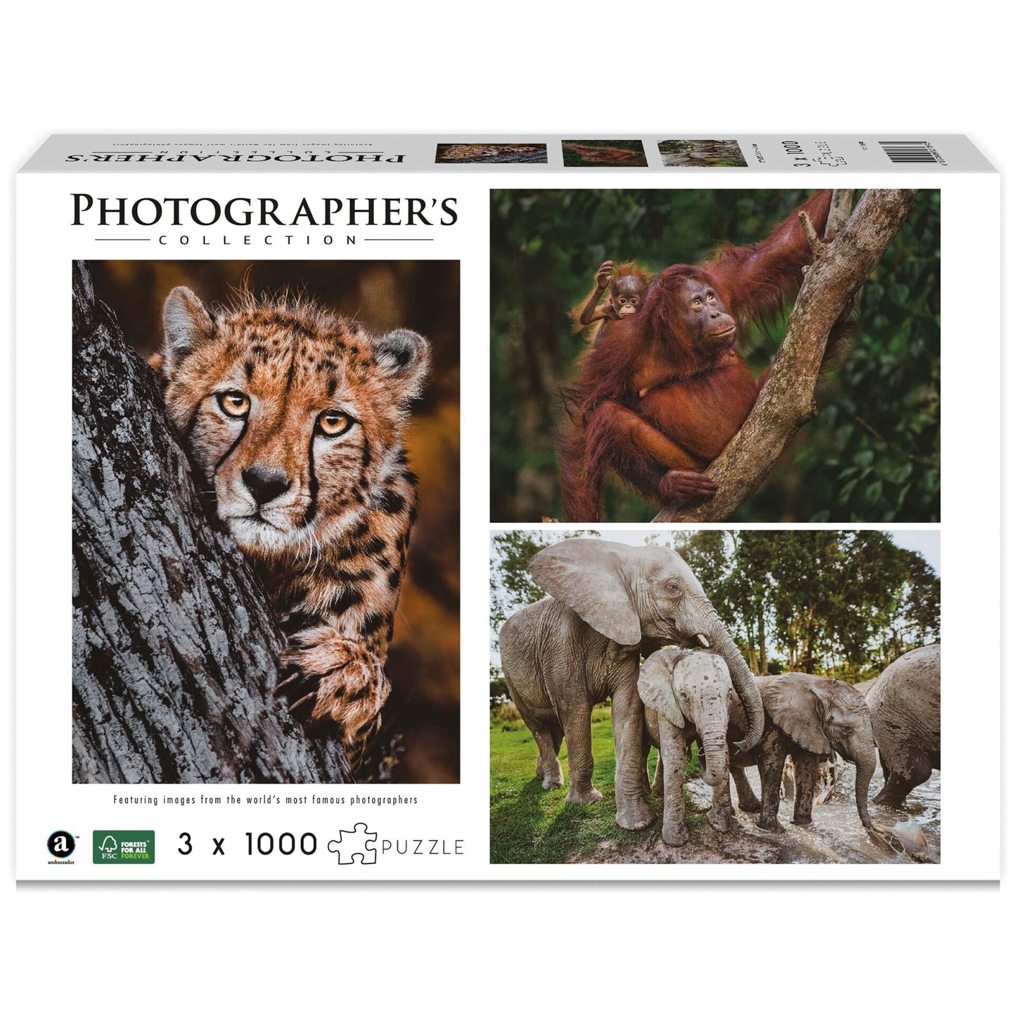 Ambassador Wildlife Families 3x 1000 Pieces (Donal Boyd)