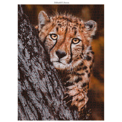 Ambassador Wildlife Families 3x 1000 Pieces (Donal Boyd)