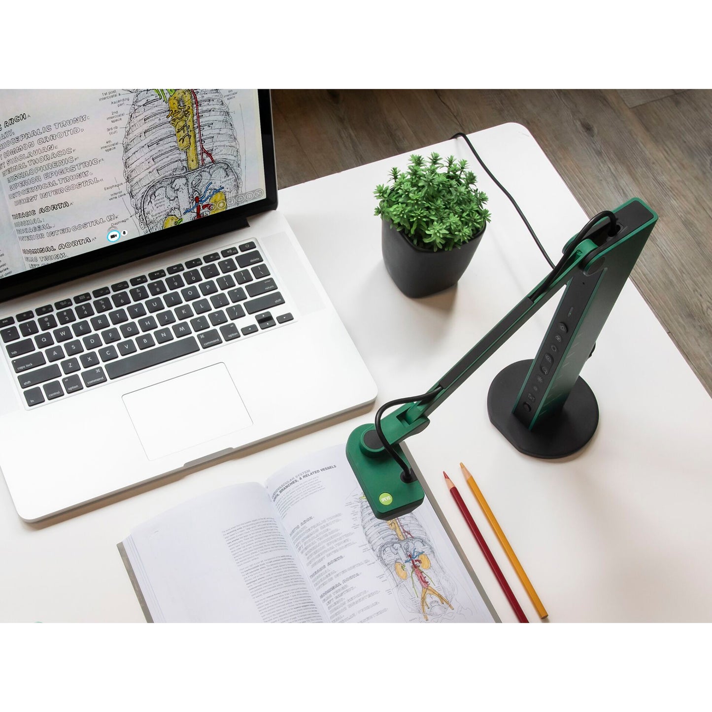 IPEVO VZ-R Type C HDMI/USB Dual Mode Visualiser