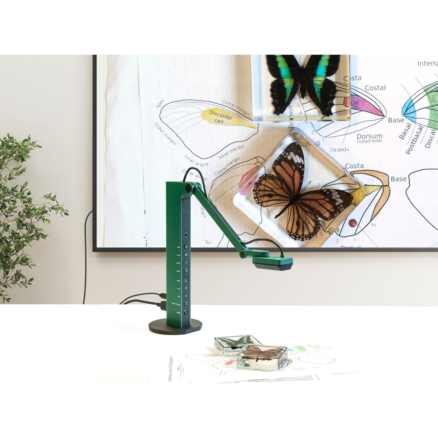 IPEVO VZ-R Type C HDMI/USB Dual Mode Visualiser