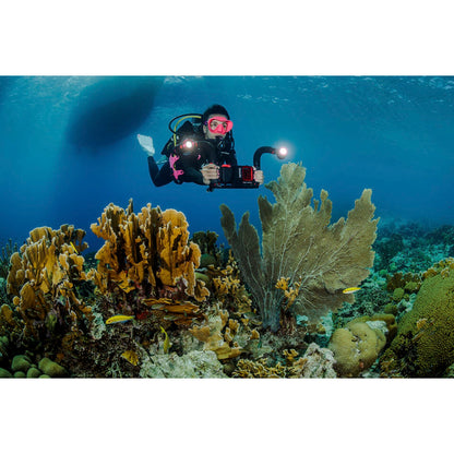 Sealife Flex Connect Flex Arm (SL9901)