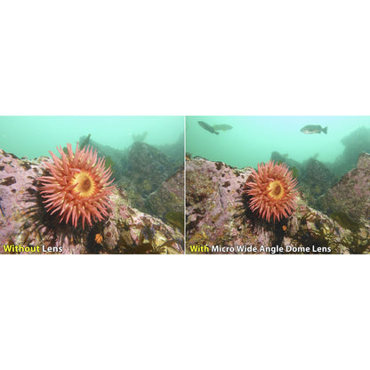 Sealife Ultra-Wide Angle Dome Lens     (SL052)