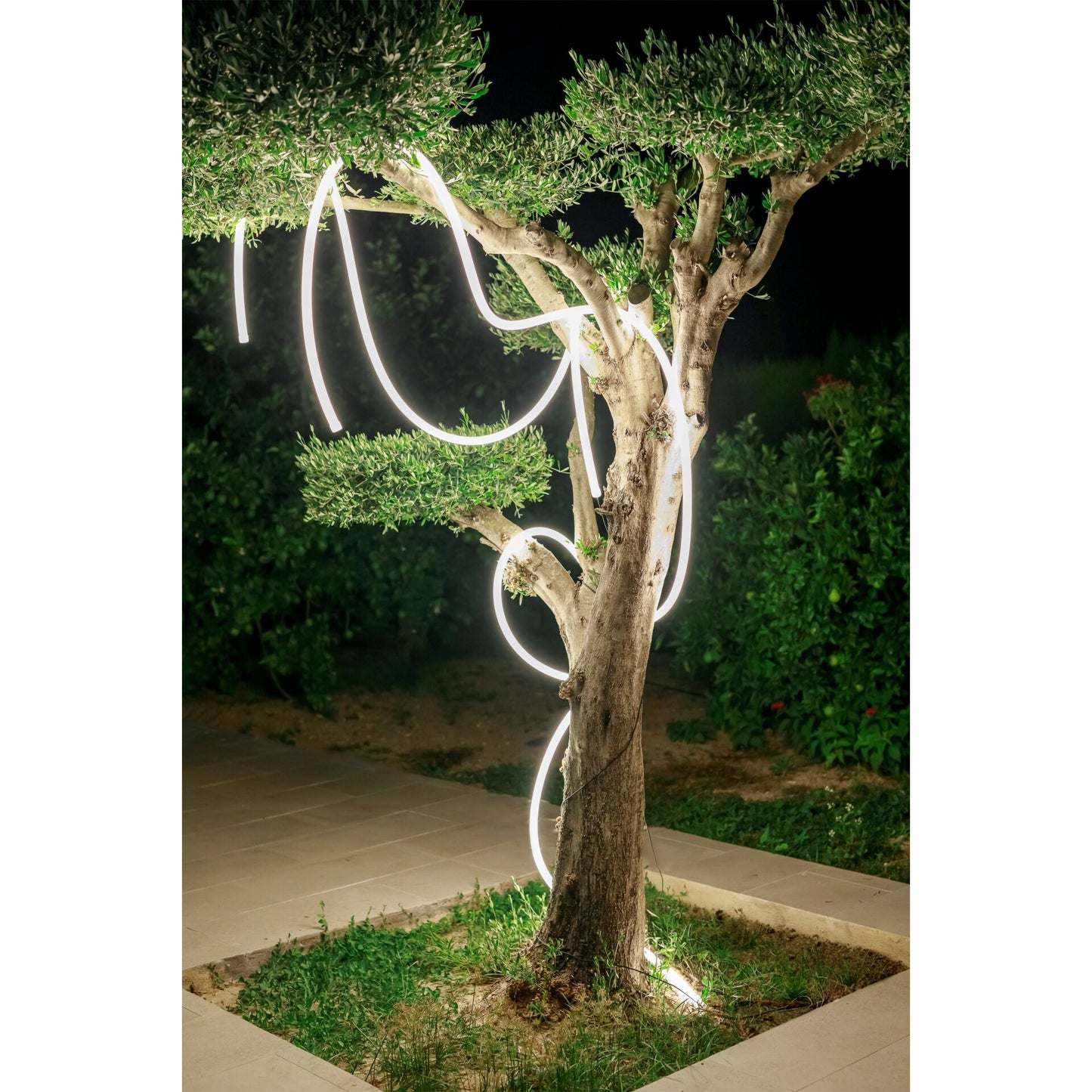 New Garden NEO GARLAND