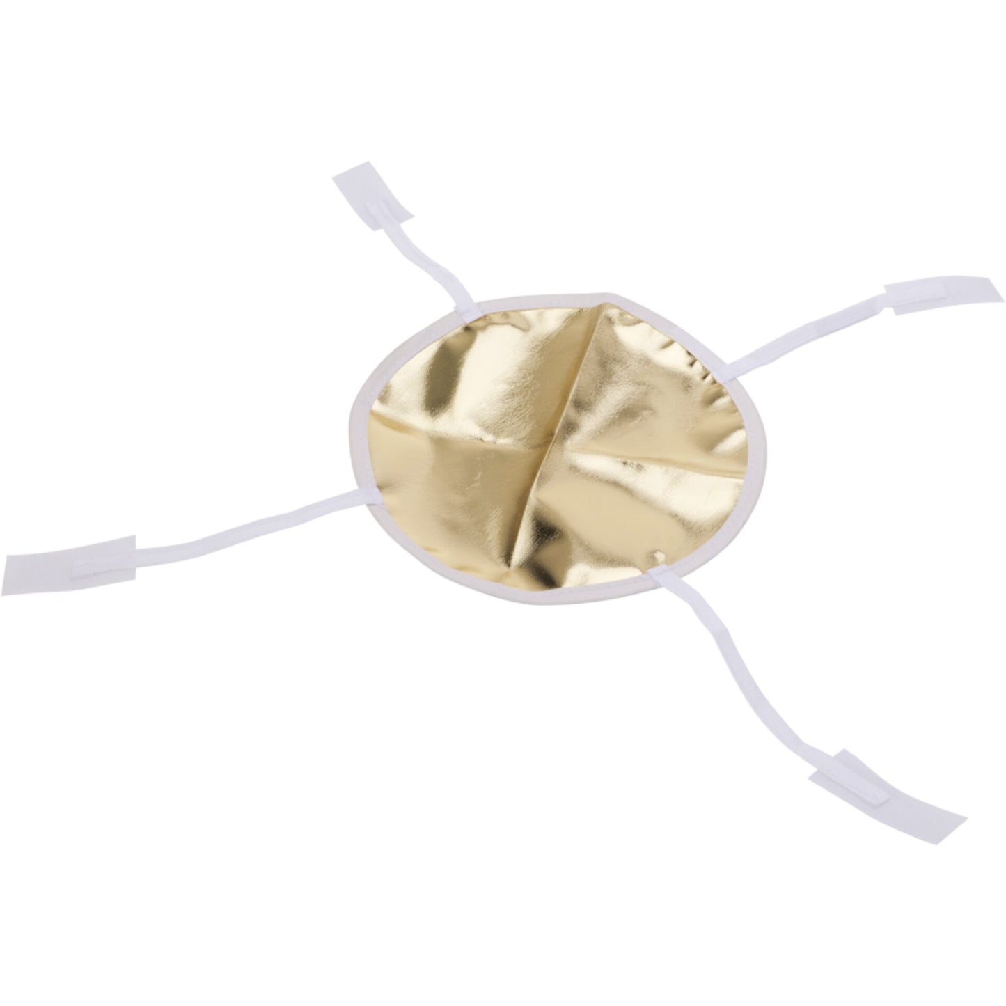 Aputure Light Dome mini III Softbox