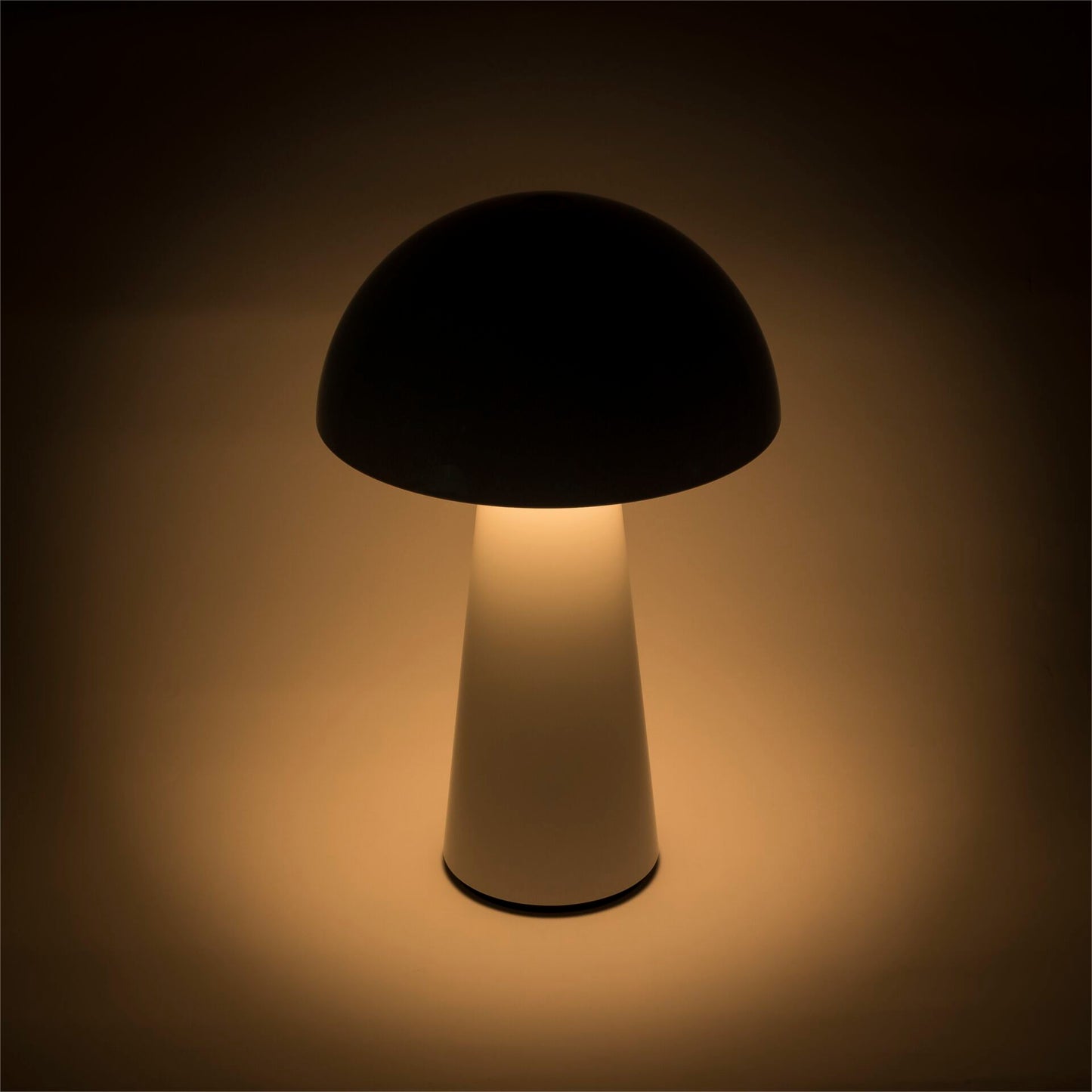 Century LED Lamp COCO white 1,5W 2700K 100 Lumen Dimm. IP44