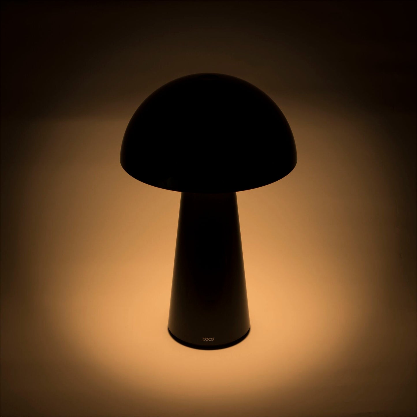 Century LED Lamp COCO black 1,5W 2700K 100 Lumen Dimm. IP44