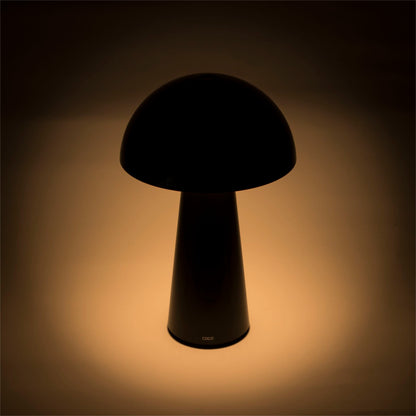 Century LED Lamp COCO black 1,5W 2700K 100 Lumen Dimm. IP44