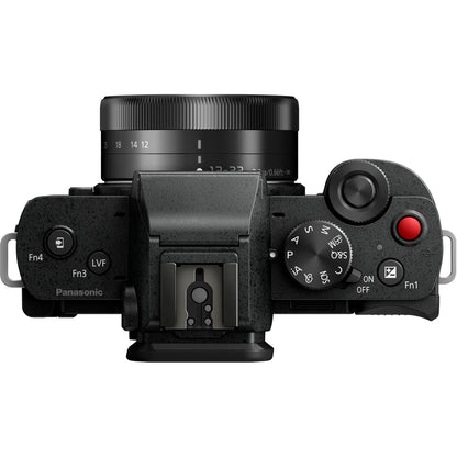 Panasonic Lumix DC-G100D black + H-FS 12-32 + DMW-SHGR2