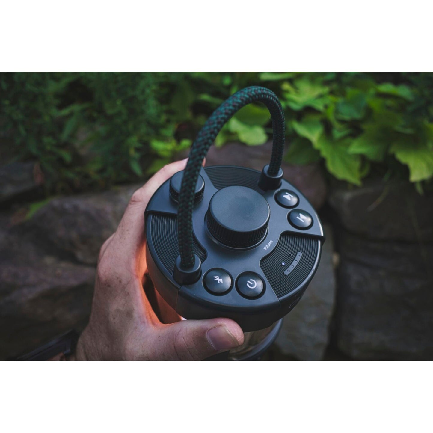 Pure Woodland Glow green