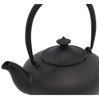 Bredemeijer Teapot Chengdu 1,0l Cast Iron black 157010