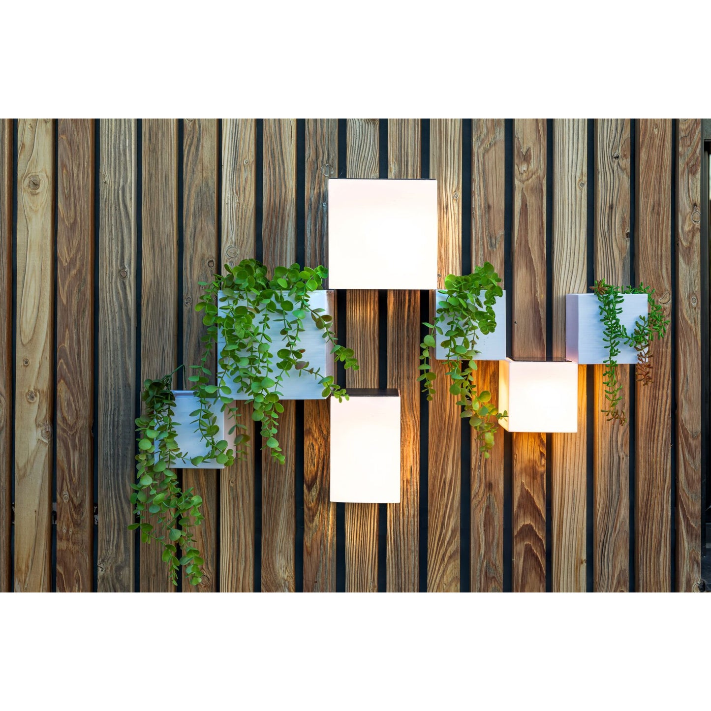 New Garden WALLY 18X18X18 SOLAR WALL