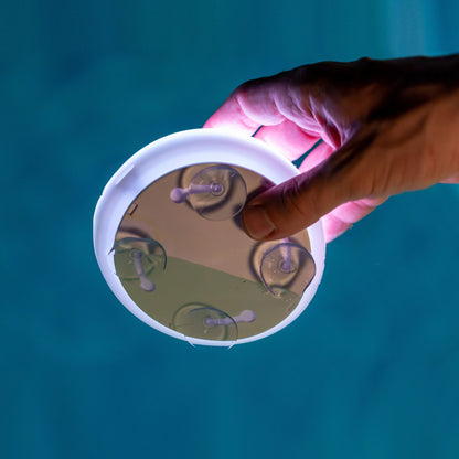 New Garden PAPAYA 12 BATTERY