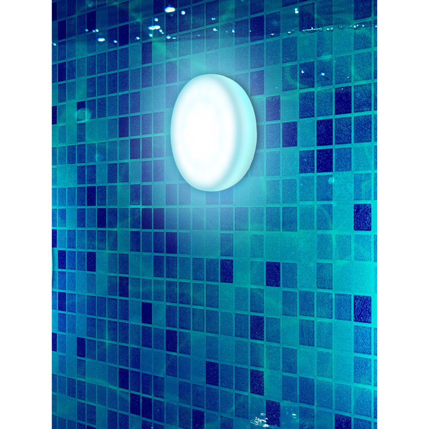 New Garden PAPAYA 12 BATTERY