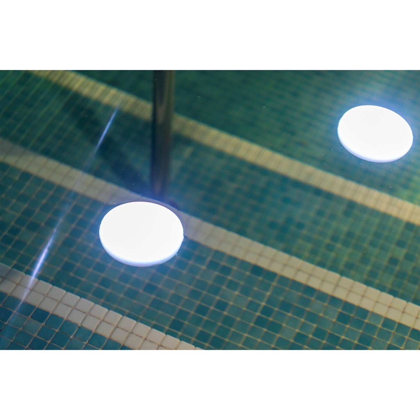 New Garden PAPAYA 12 BATTERY