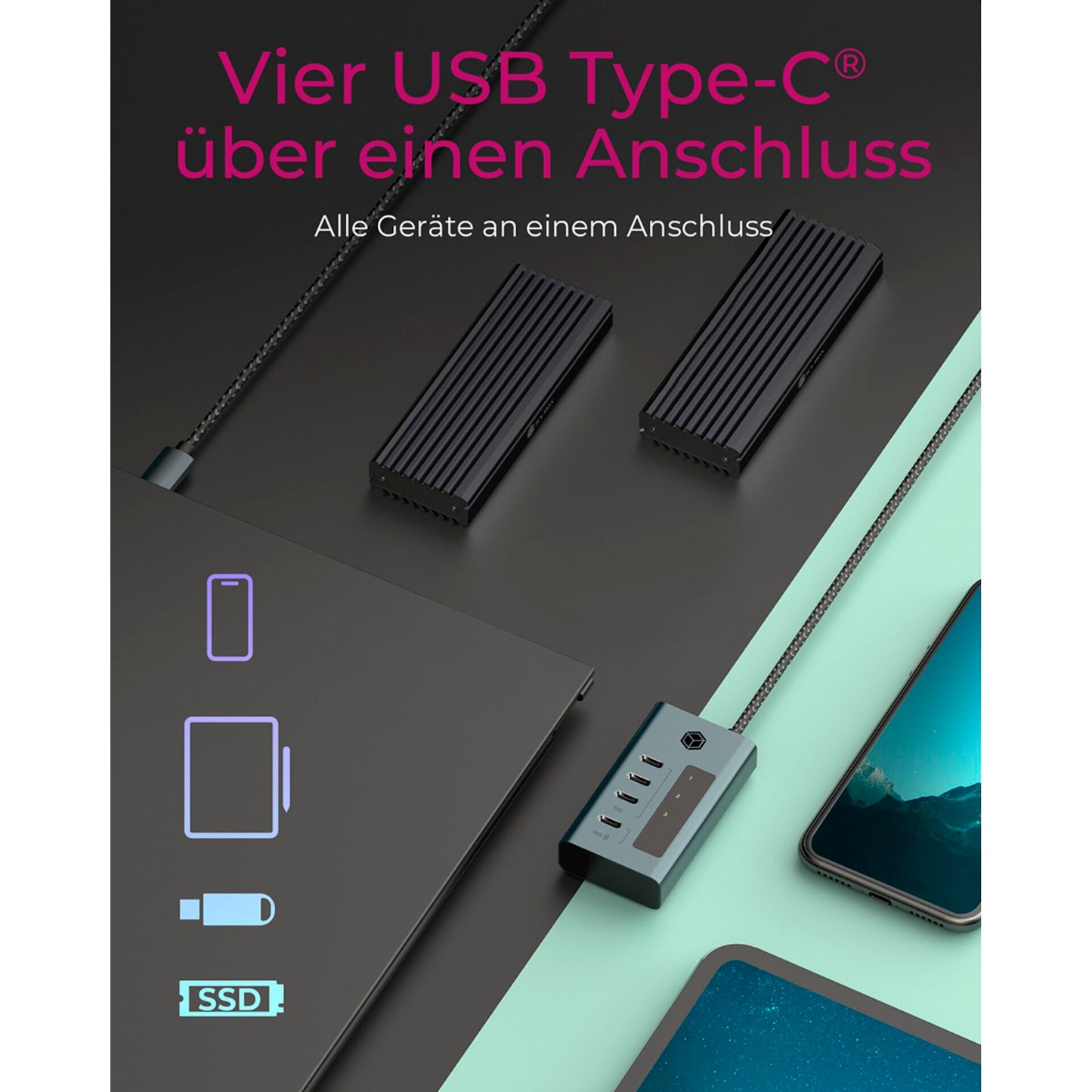 Raidsonic IB-HUB1454-C31