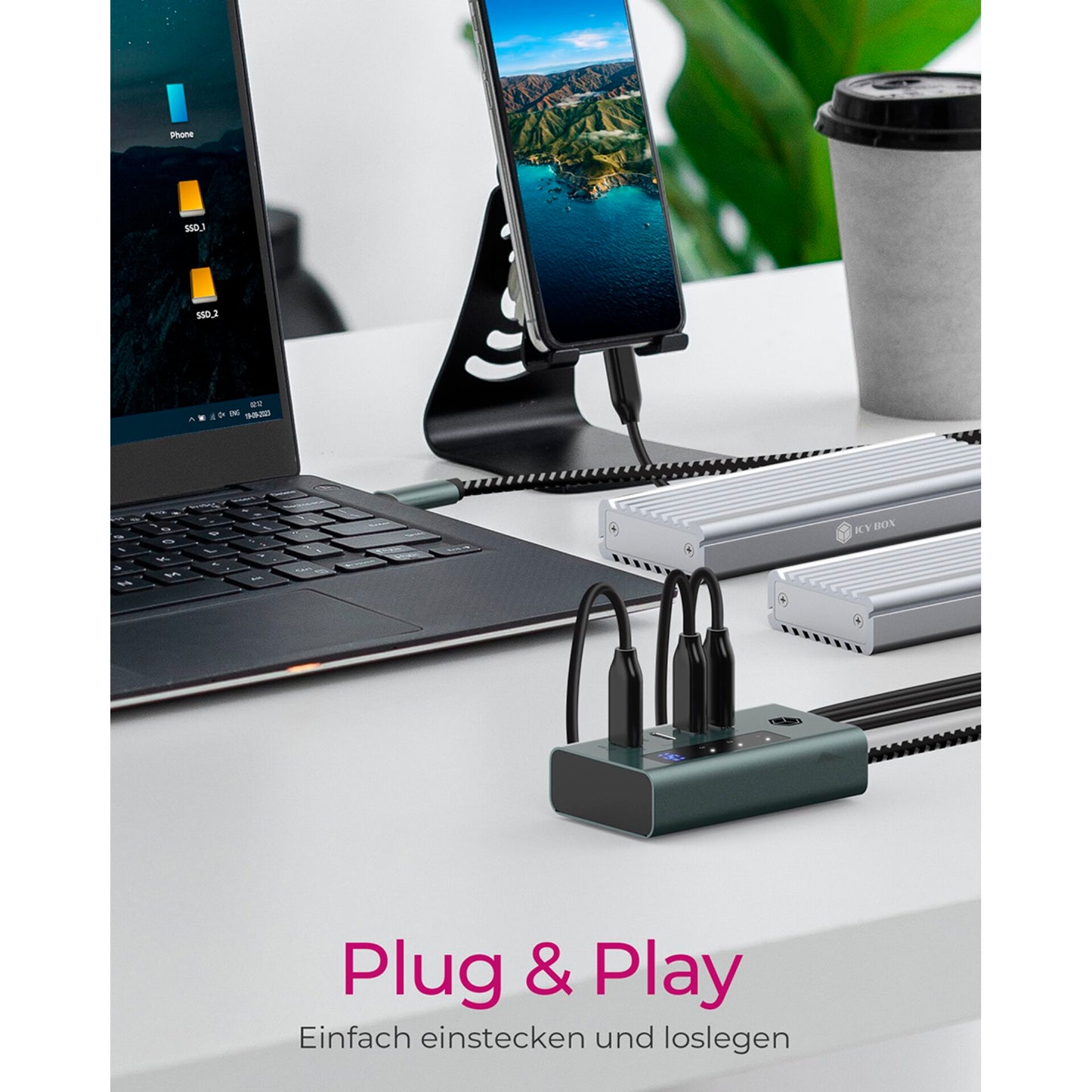 Raidsonic IB-HUB1454-C31