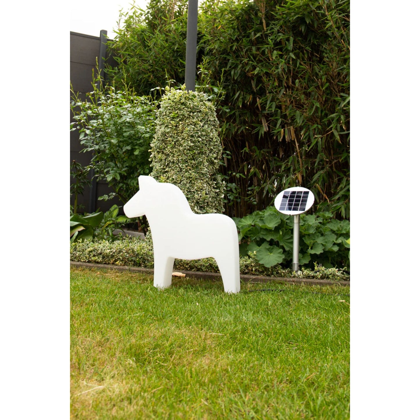 8 seasons Shining Dala Horse 43 Solar