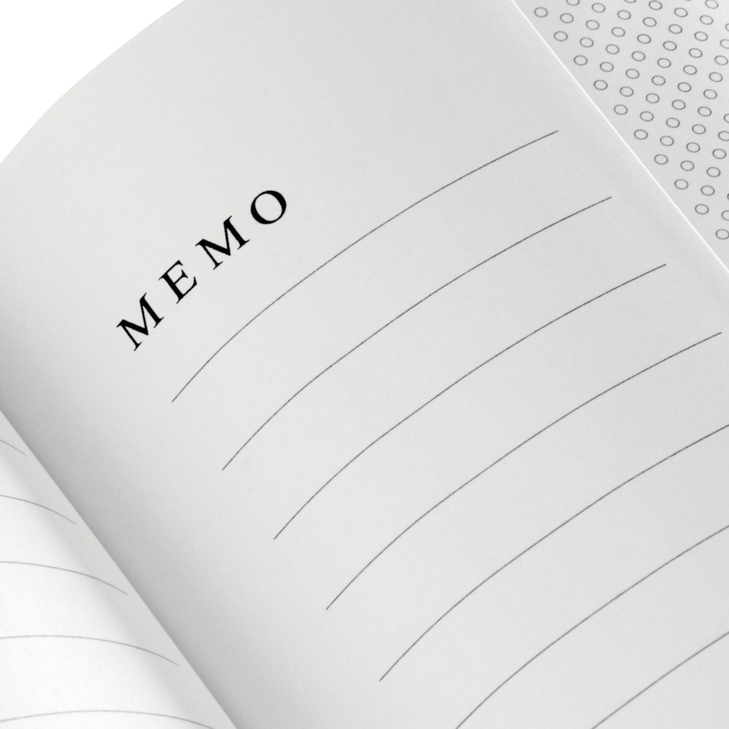 Hama Memo  Singo II        10x15 200 Photos Terracotta 7632