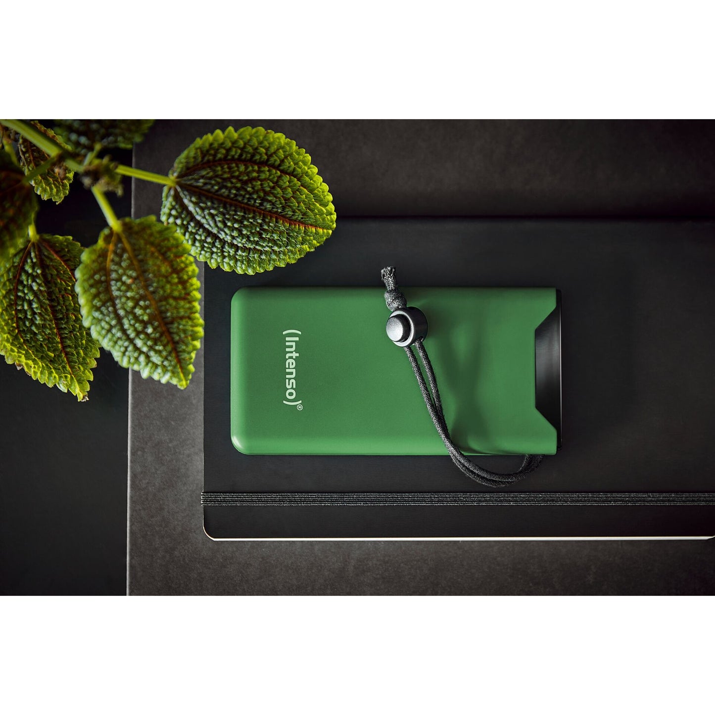 Intenso Powerbank F10000 green 10000 mAh incl. USB-C to Type-C