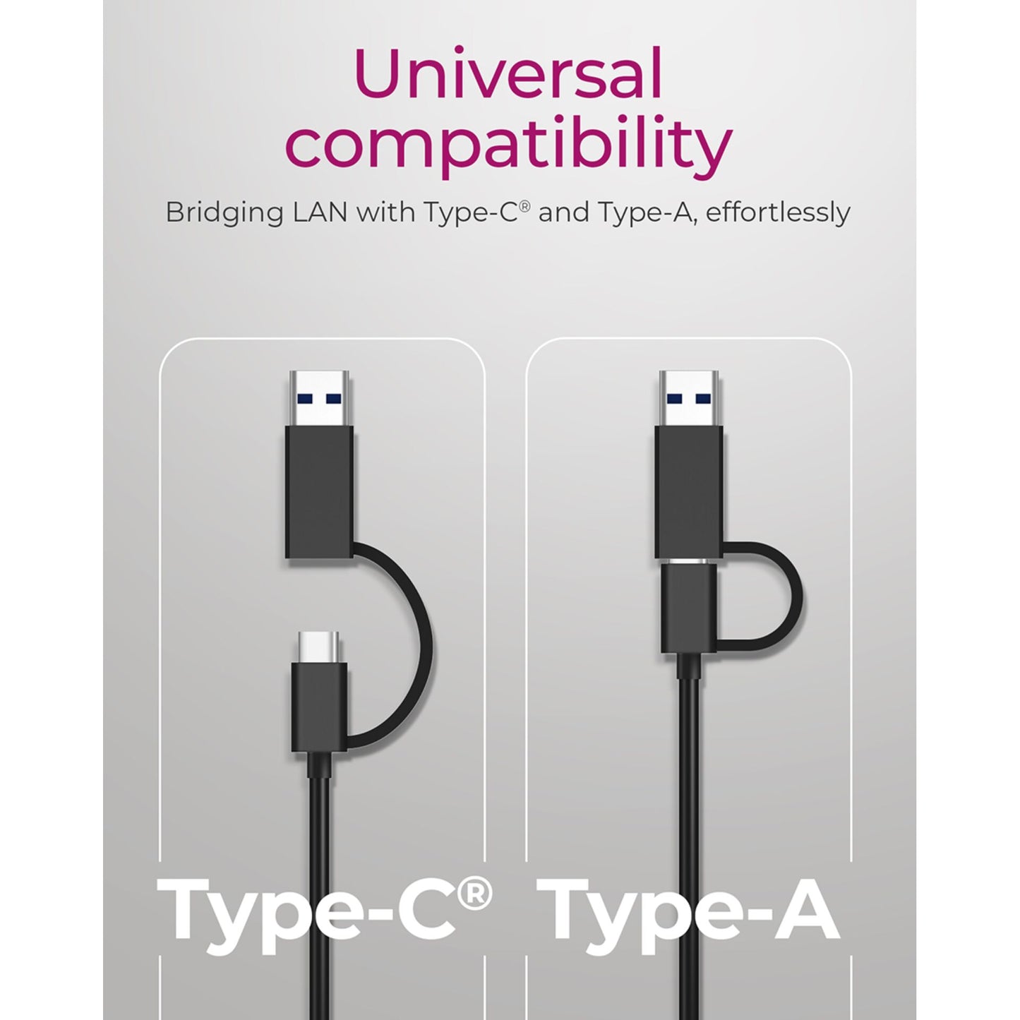 Raidsonic ICY BOX IB-LAN301-C3 USB Type-C / Type-A to LAN