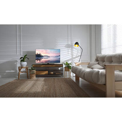 Panasonic TB-40S45AEZ silver
