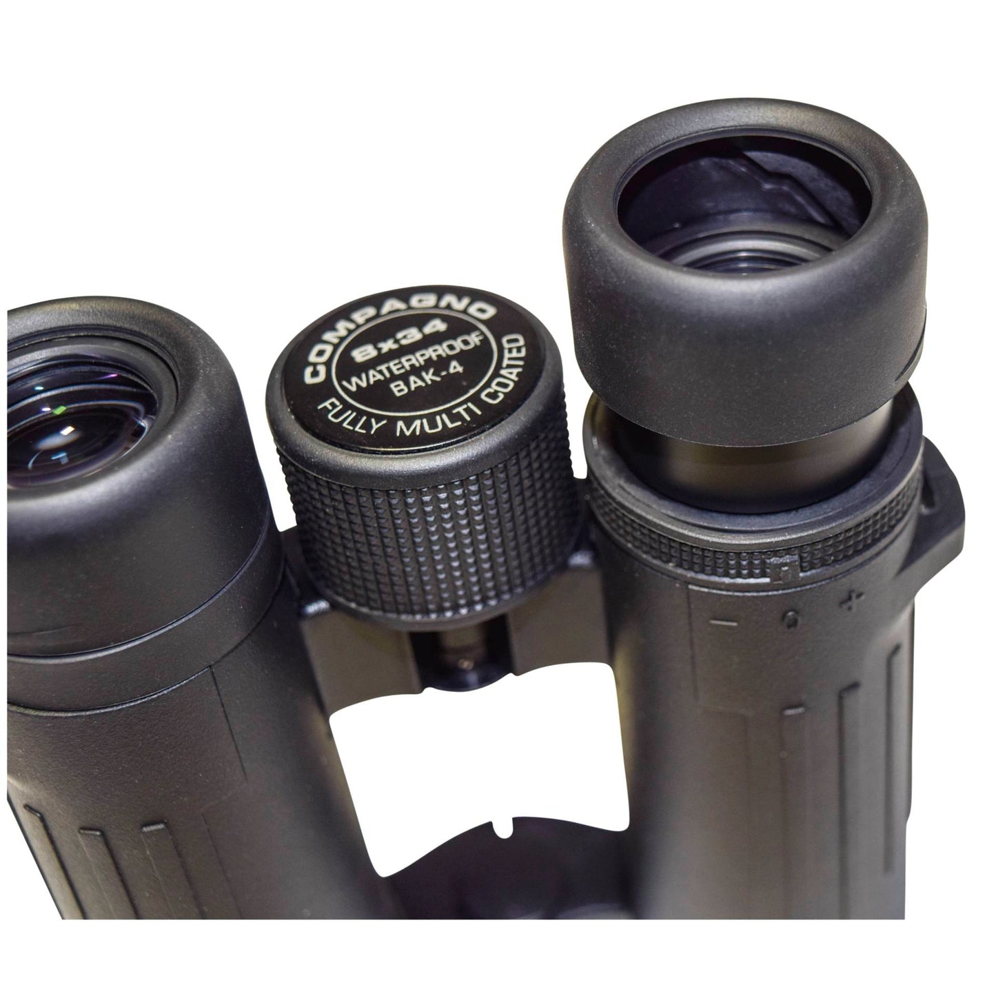 Braun Compagno           8x34 WP