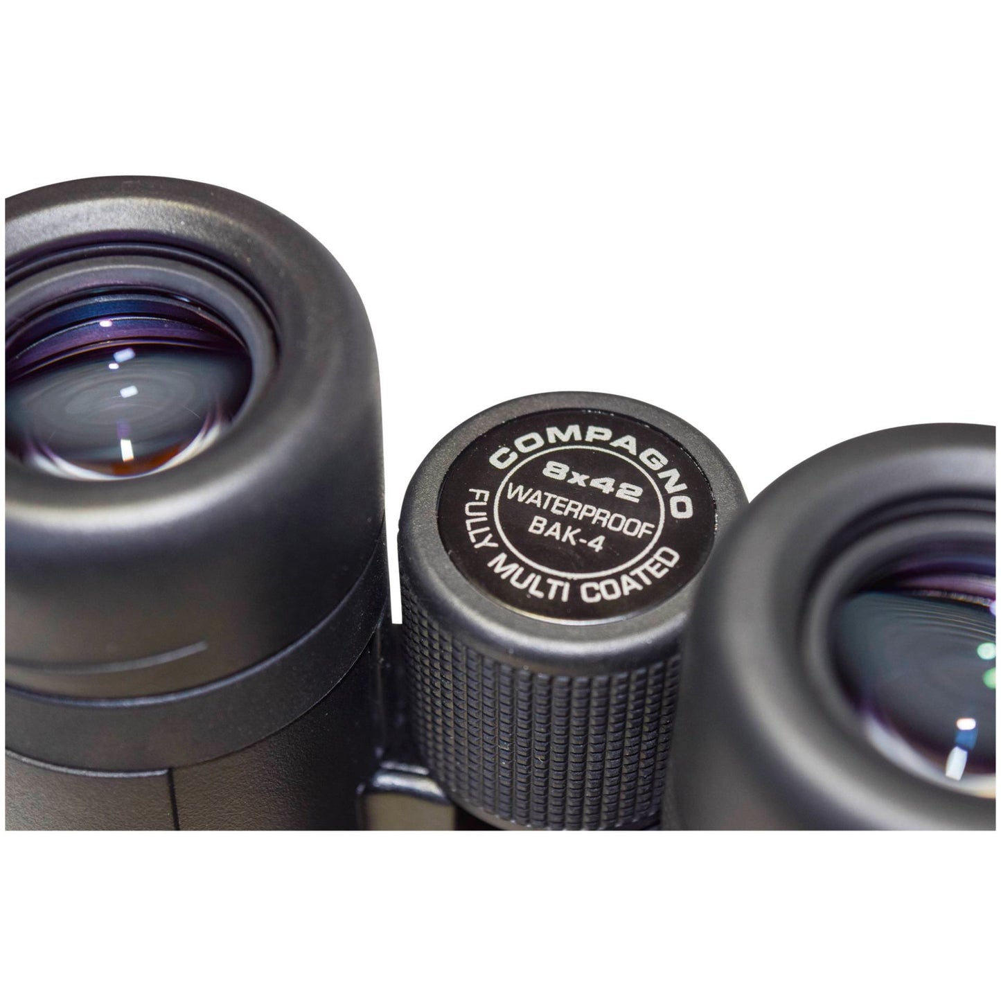 Braun Compagno           8x42 WP