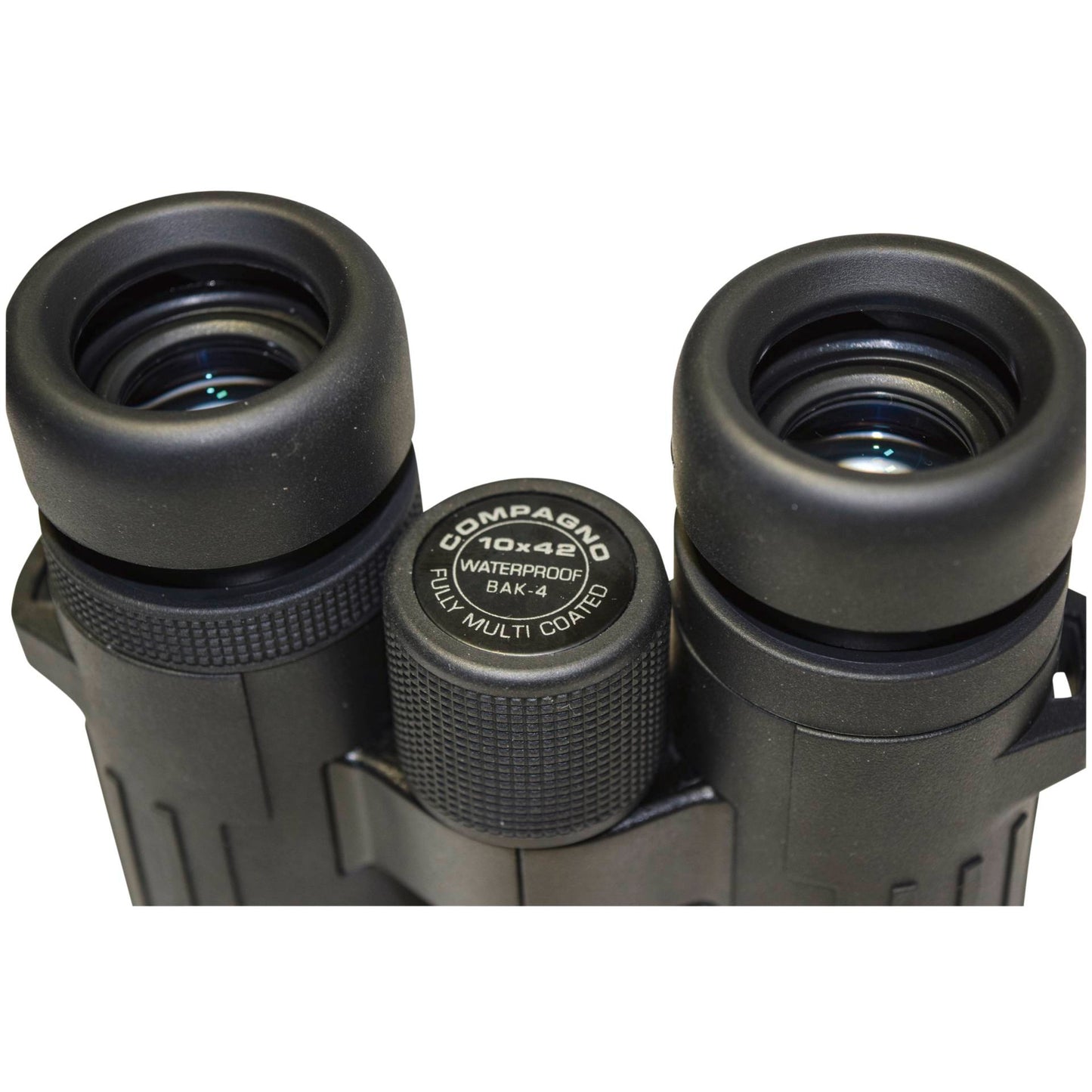 Braun Compagno          10x42 WP