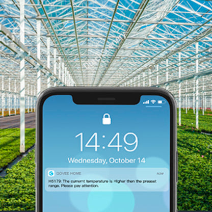Govee - WiFi Thermo-Hygrometer